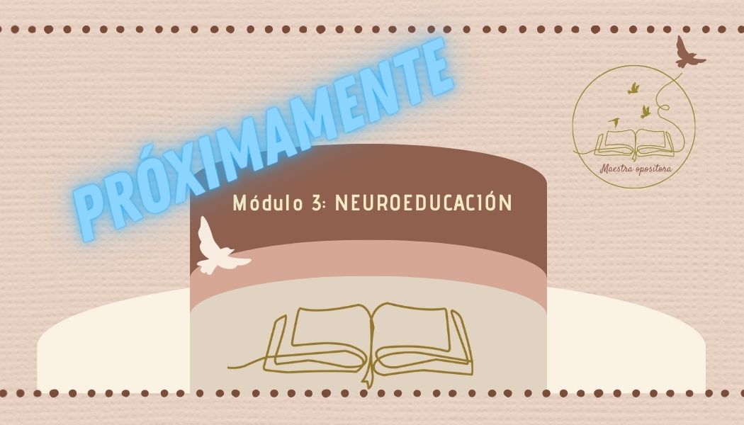 Neuroeducación